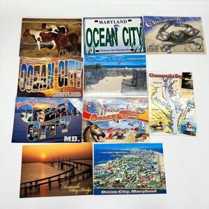 Lot of 10 Ocean City Maryland Postcards OCMD Beach Assateague Island Blue Crab